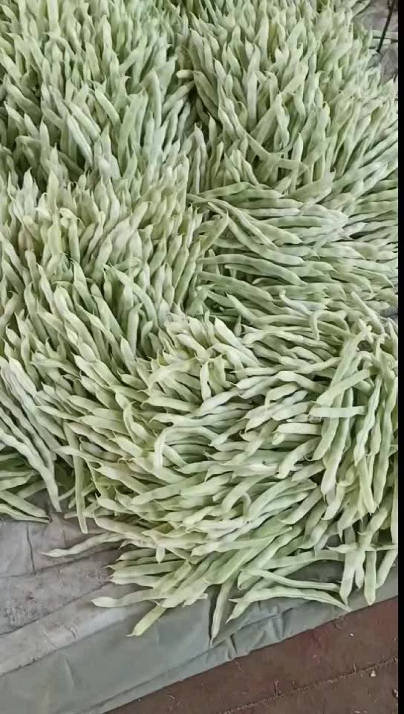 芸豆