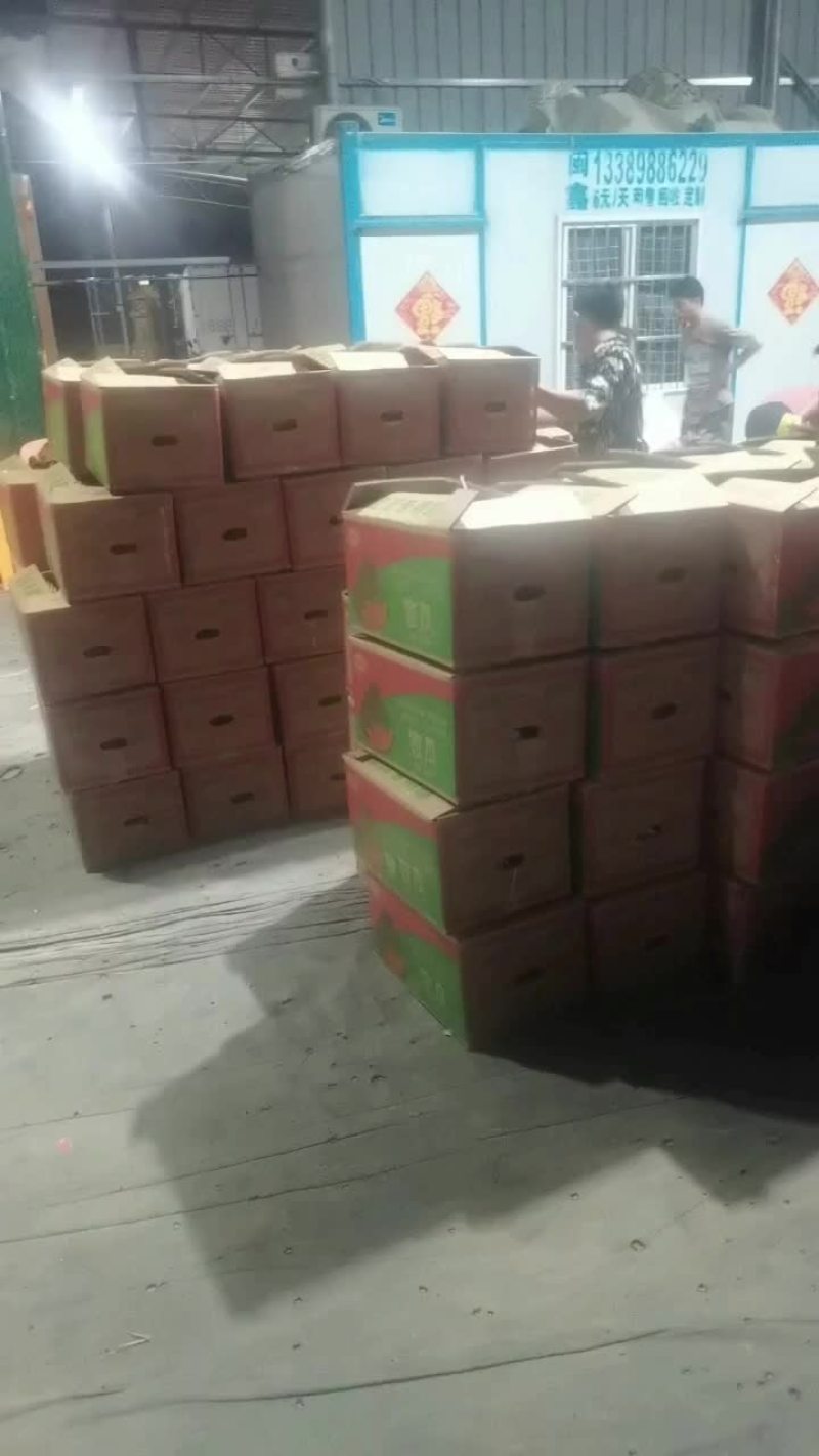 海南晓蜜二十五号哈密瓜，本人代办代发一条龙服务，方便省事