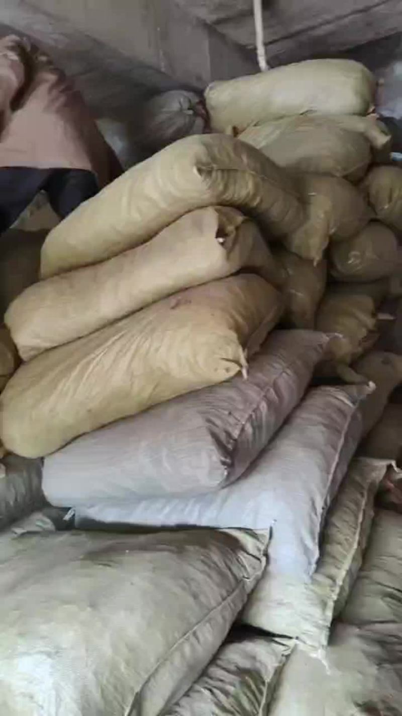 丹皮须子牡丹须段常年经营各规格牡丹须子黑通红丹只做精品
