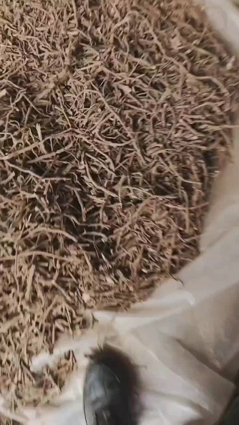 丹皮须子牡丹须段常年经营各规格牡丹须子黑通红丹只做精品