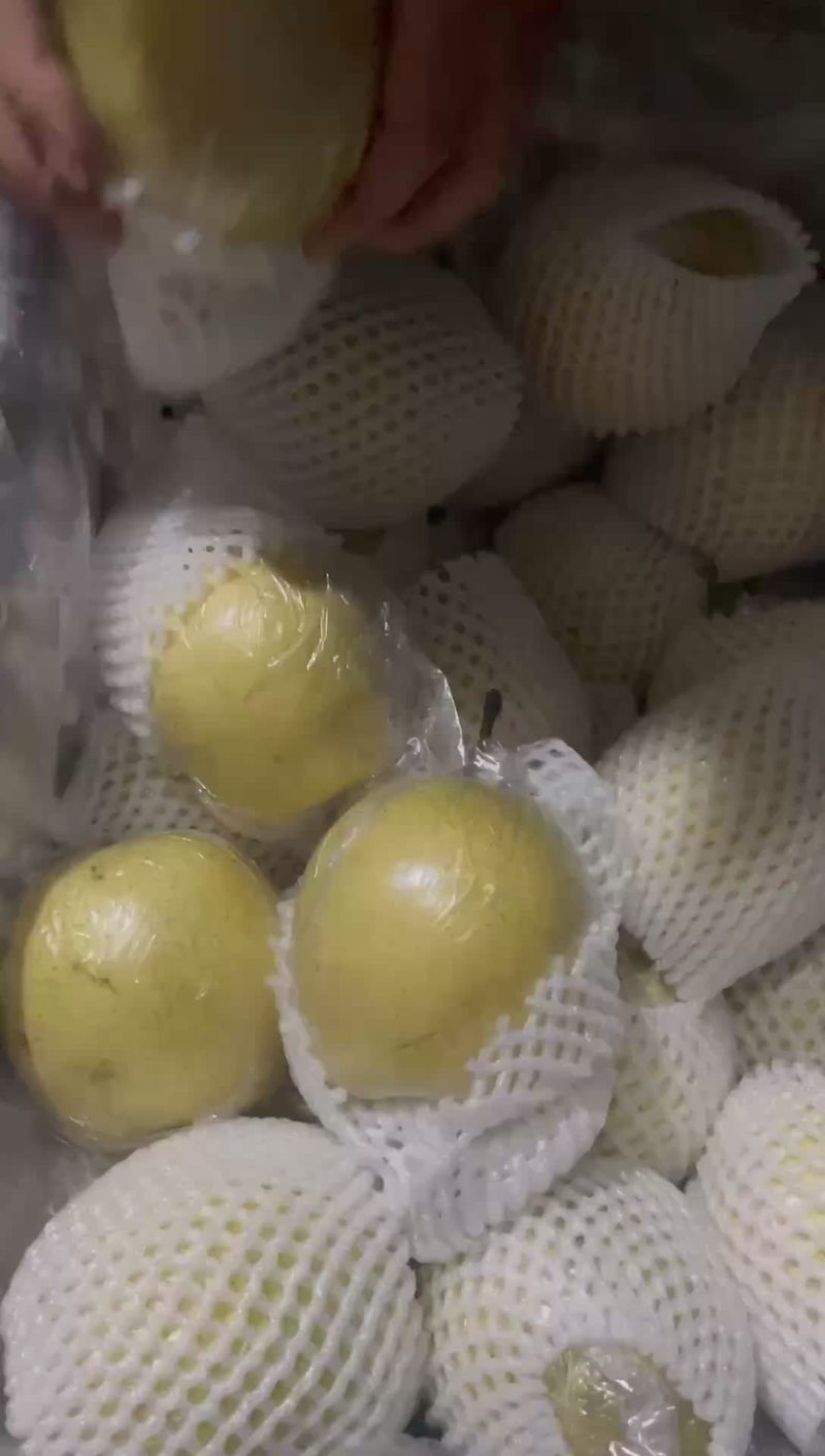块八毛的青皮皇冠