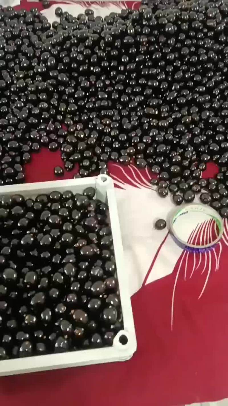 黑珍珠树葡萄