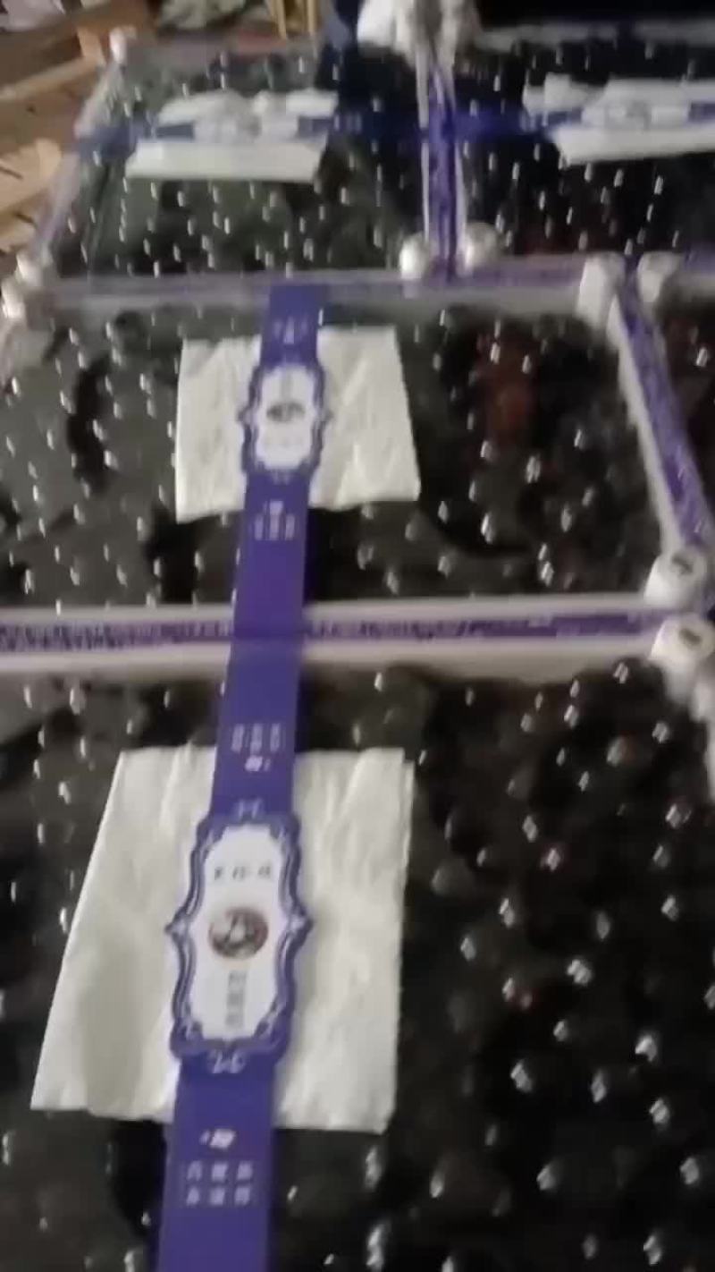 黑珍珠树葡萄