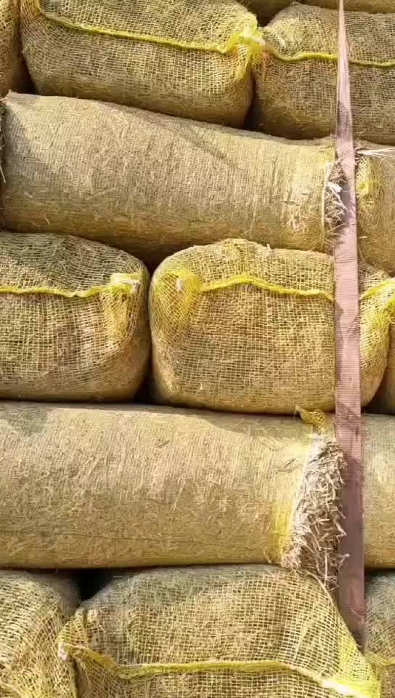 扎段稻草小方包