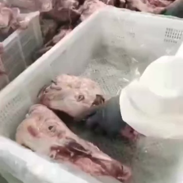 多肉头排#一件8副#新货#常年生产#质量保证，全国发货