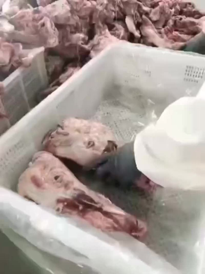 多肉头排#一件8副#新货#常年生产#质量保证，全国发货
