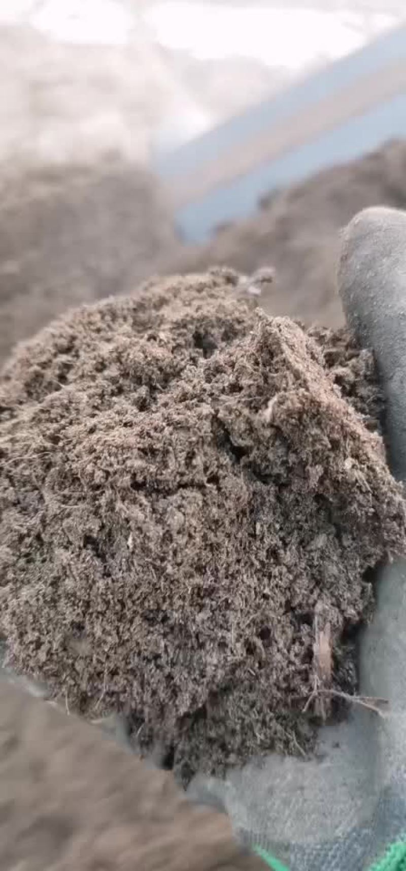 甘肃古浪黄花滩发酵纯羊粪专业生产厂家，厂价直销，全国发货