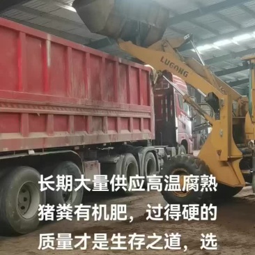 猪粪有机肥。特大大型猪场一手货源