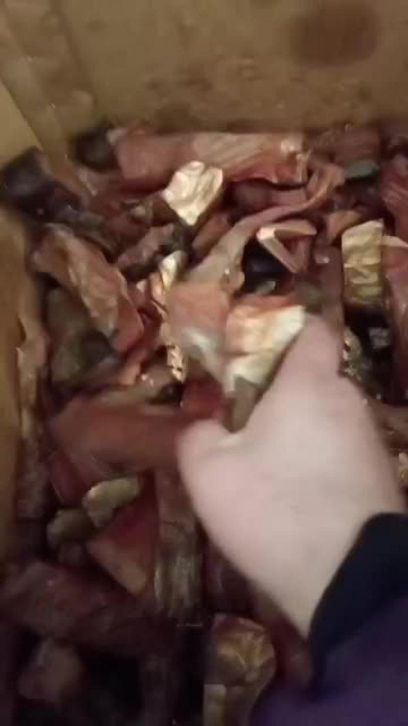 小油炸干鱼十腊鱼