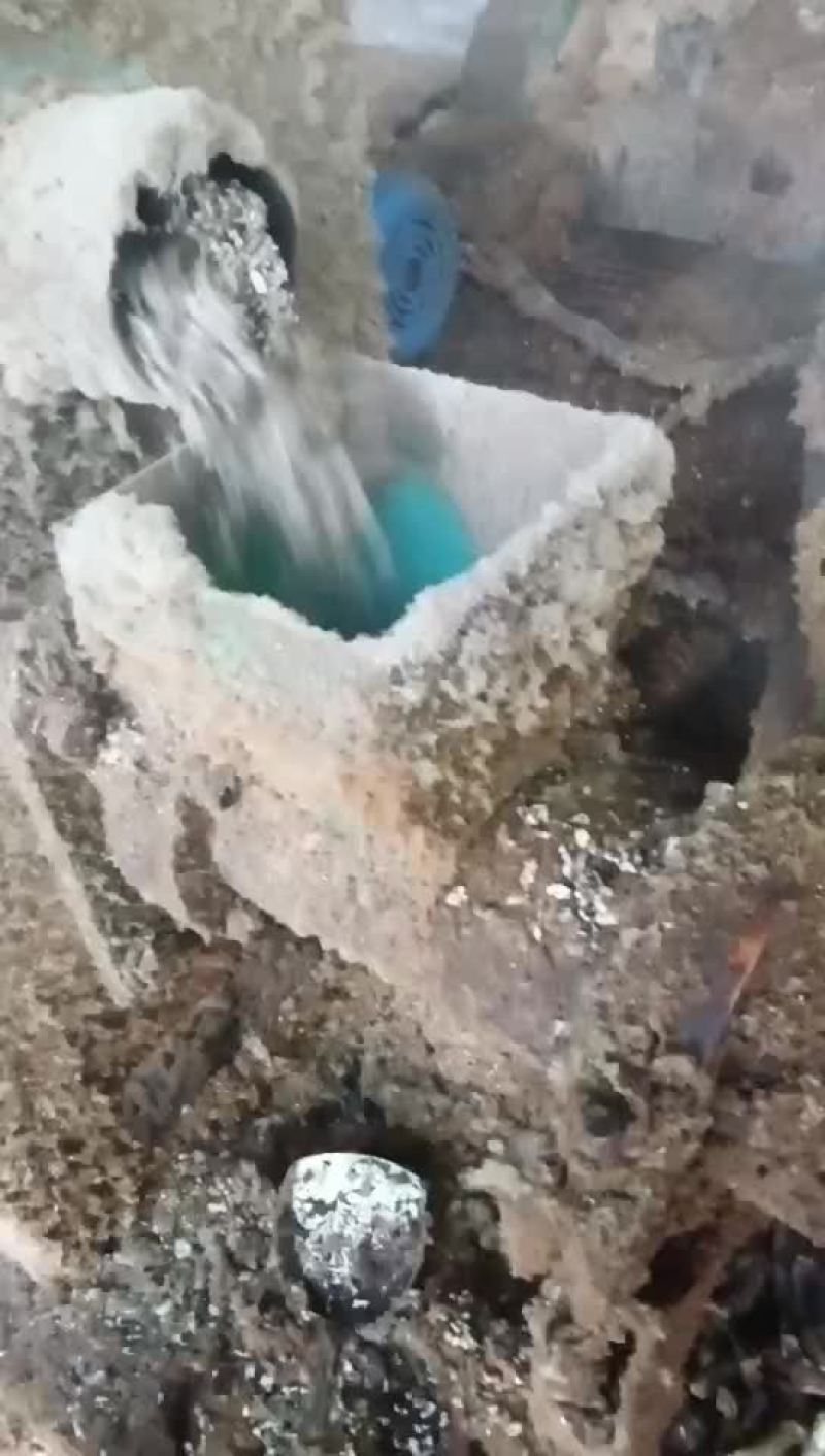 膨化棉籽，棉粕