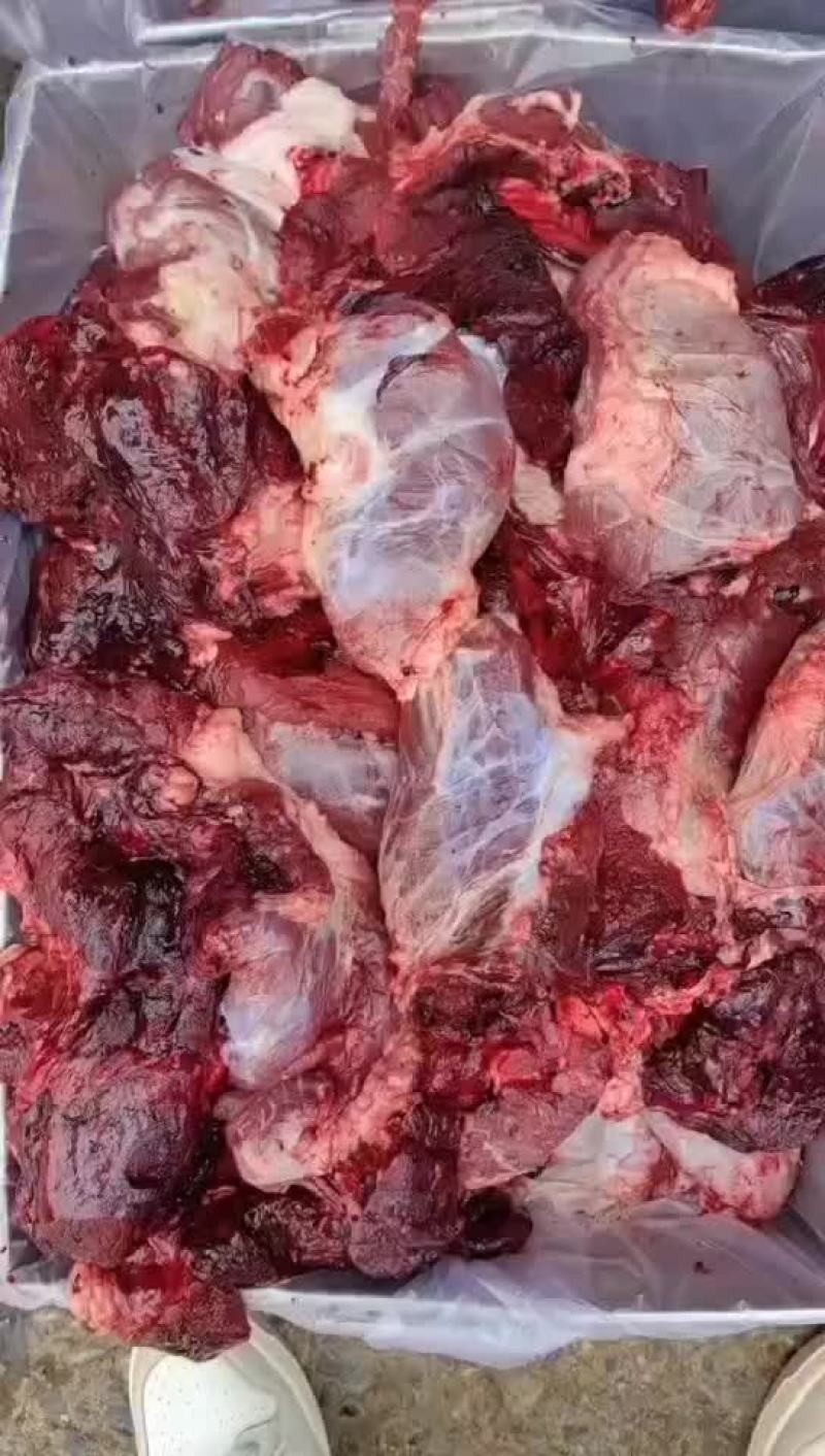 牛肉块价格实惠质量保证