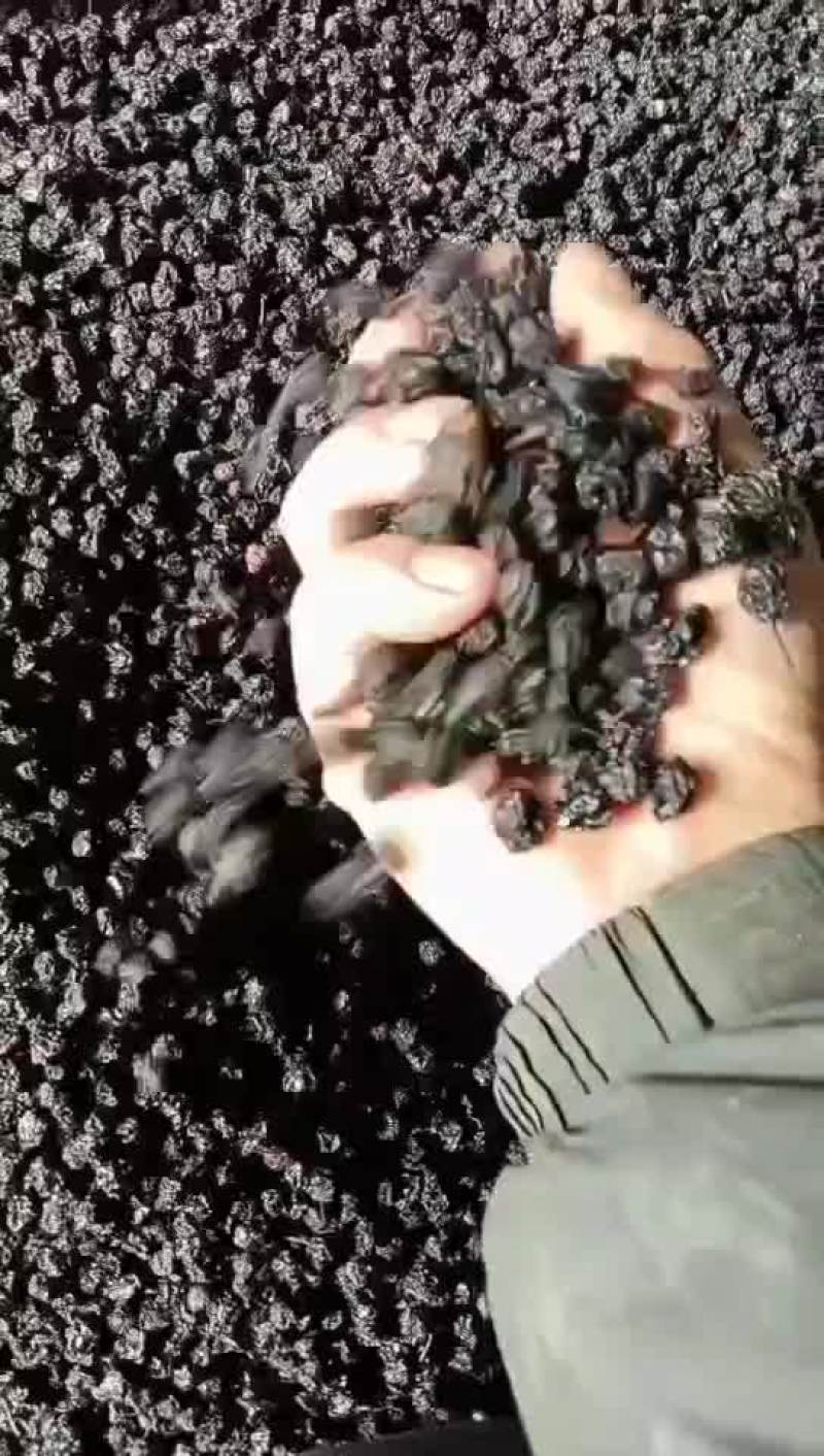 黑果花楸果量大一共吨货希望老板看好后与我联系