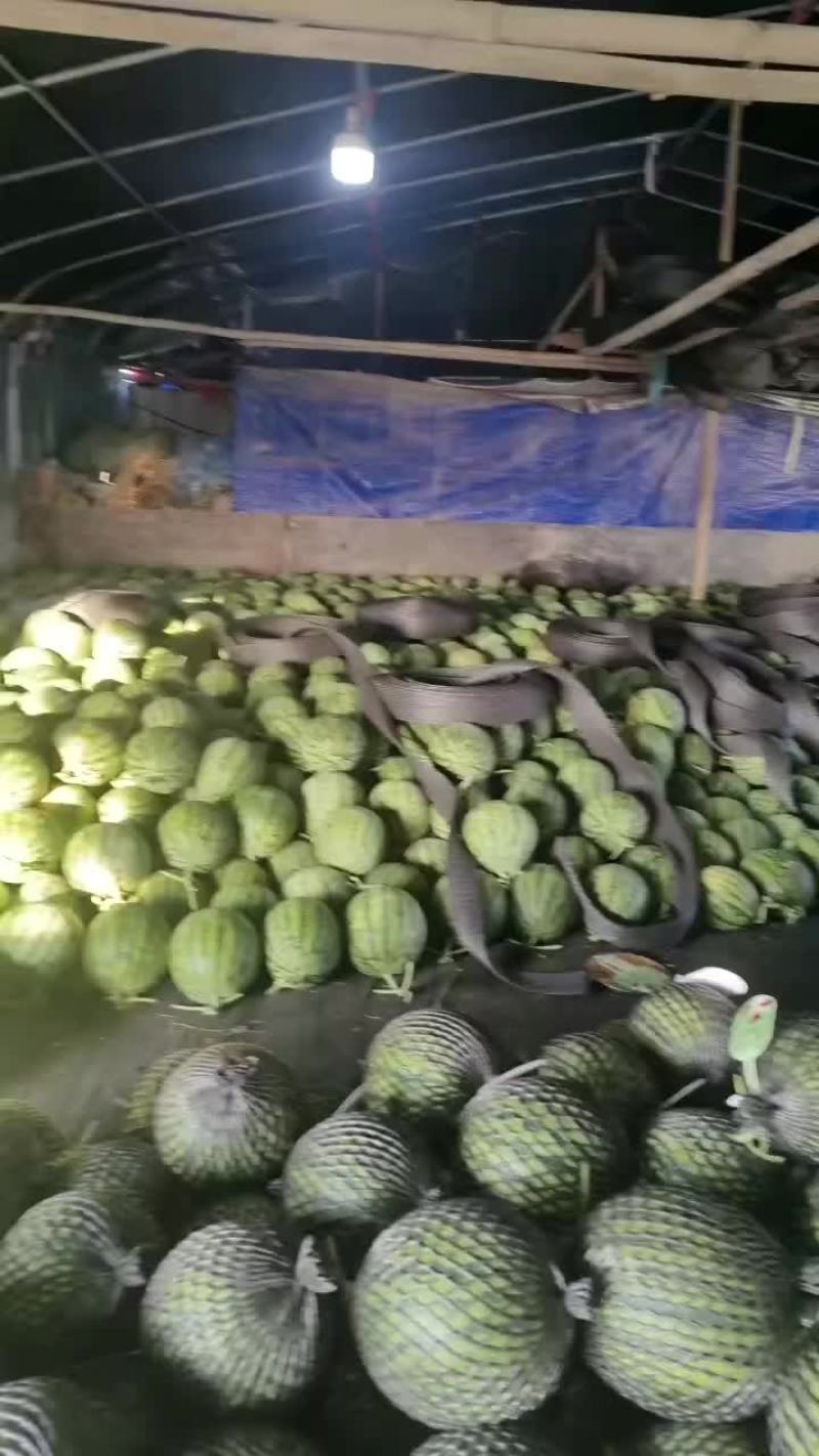 美都西瓜雷州本地人代发全国各地