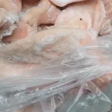母猪一级猪耳#肥猪一级猪耳#二级猪耳#保质保量，全国可发