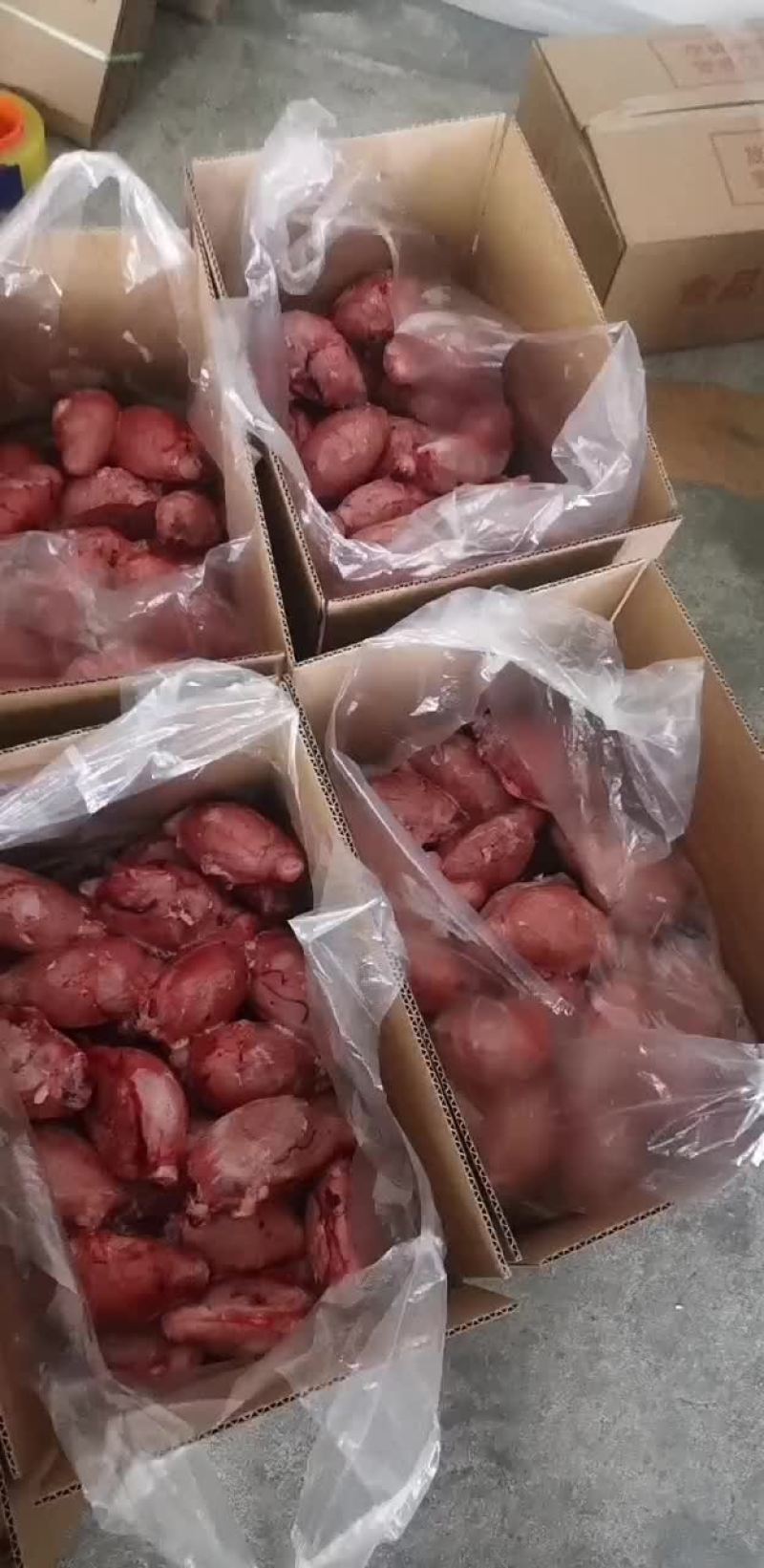 羊宝现货，舌尖上的美味！