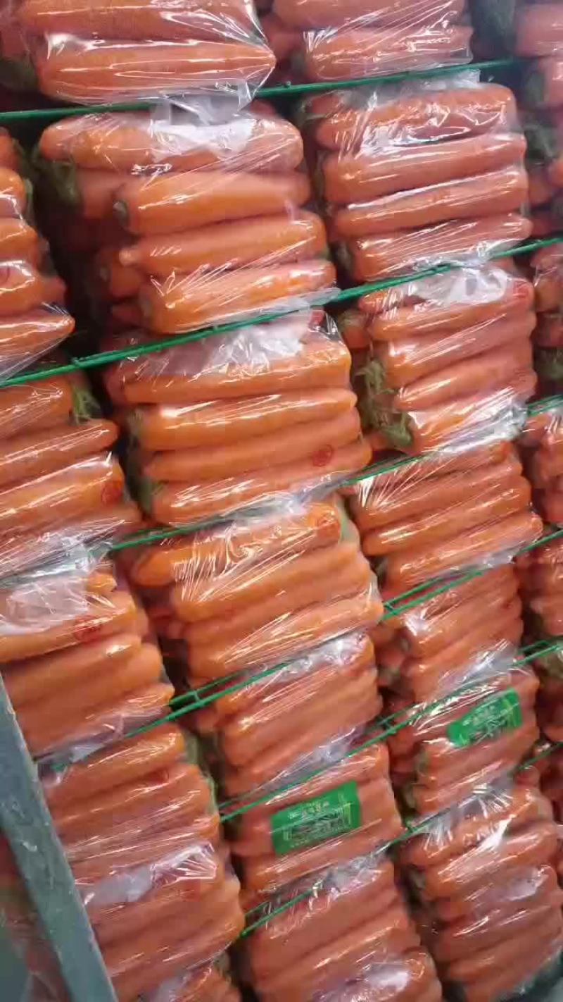 厦门精品中条
