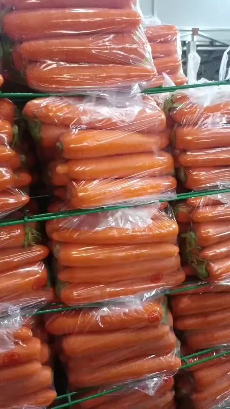 厦门精品中条