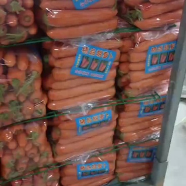 厦门精品中条