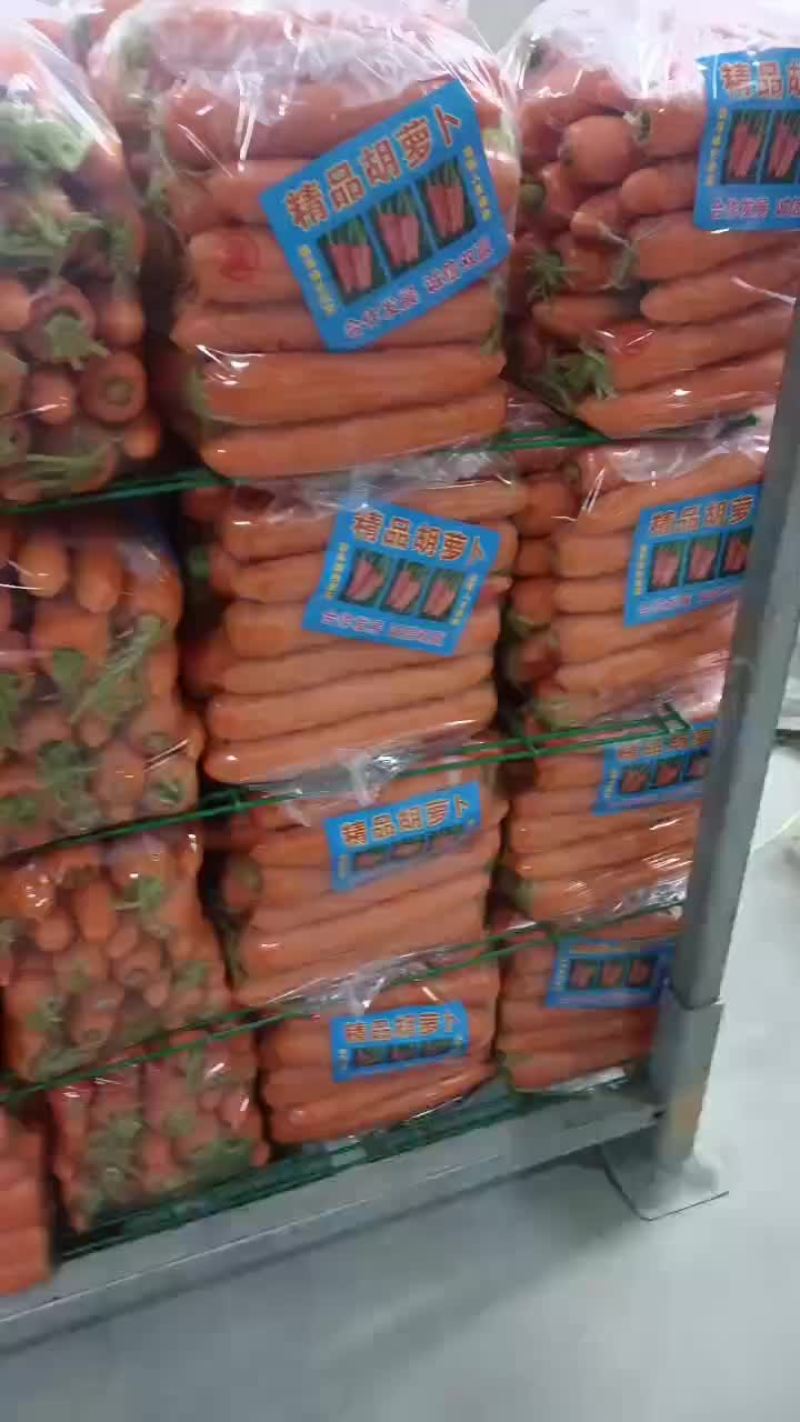 厦门精品中条