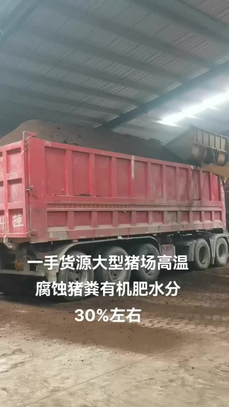 猪粪高温腐熟有机肥