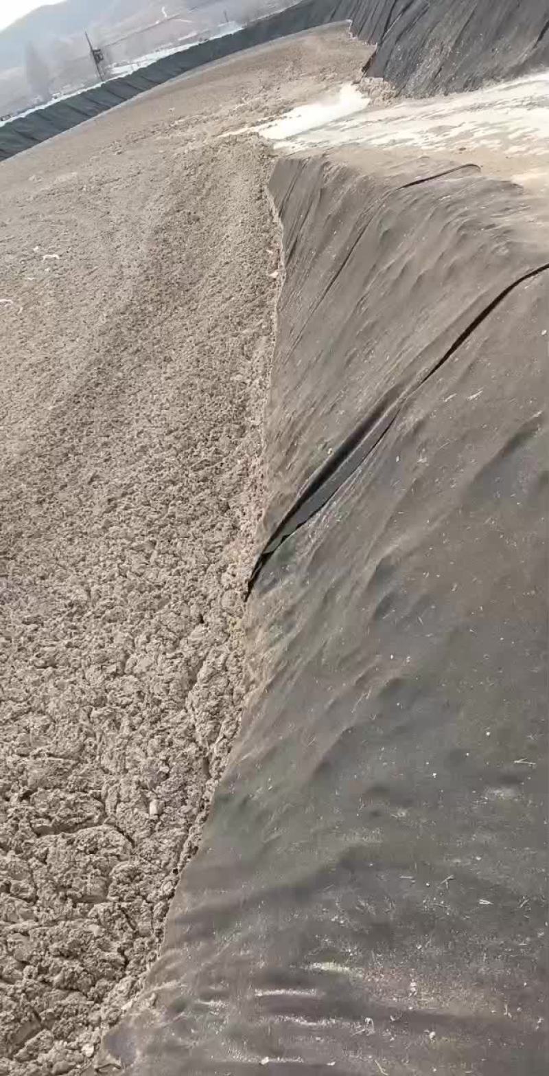 红薯饲料渣