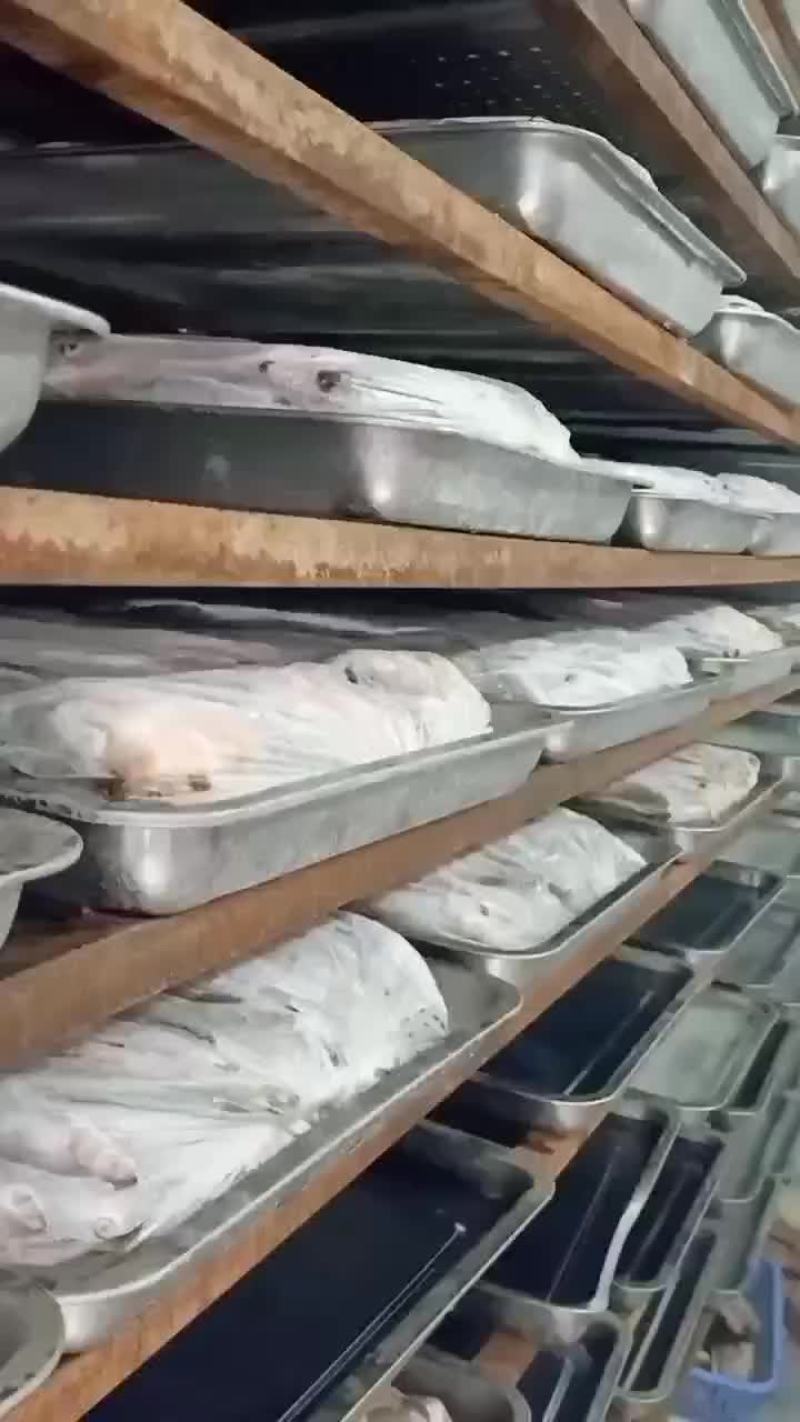 冻板大白条阳干大白条蓝刀小白条