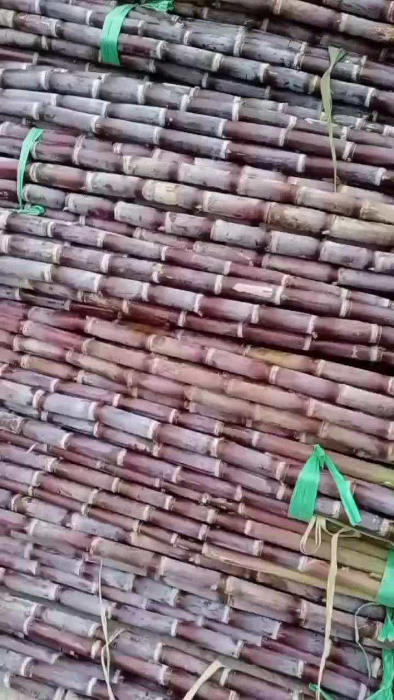 黑皮甘蔗