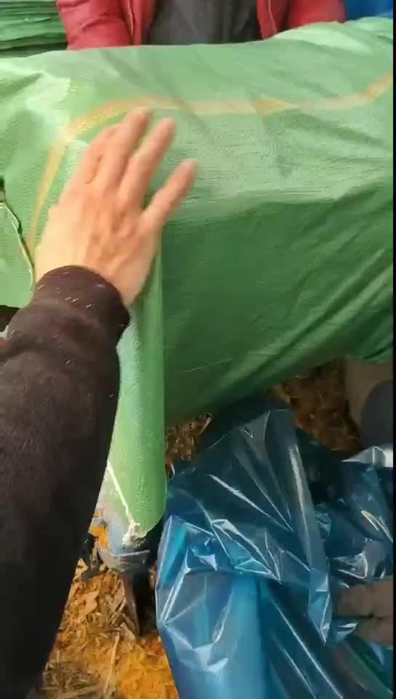 黄储方包装车