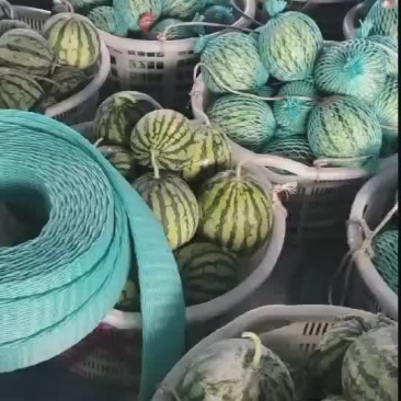 麒麟西瓜