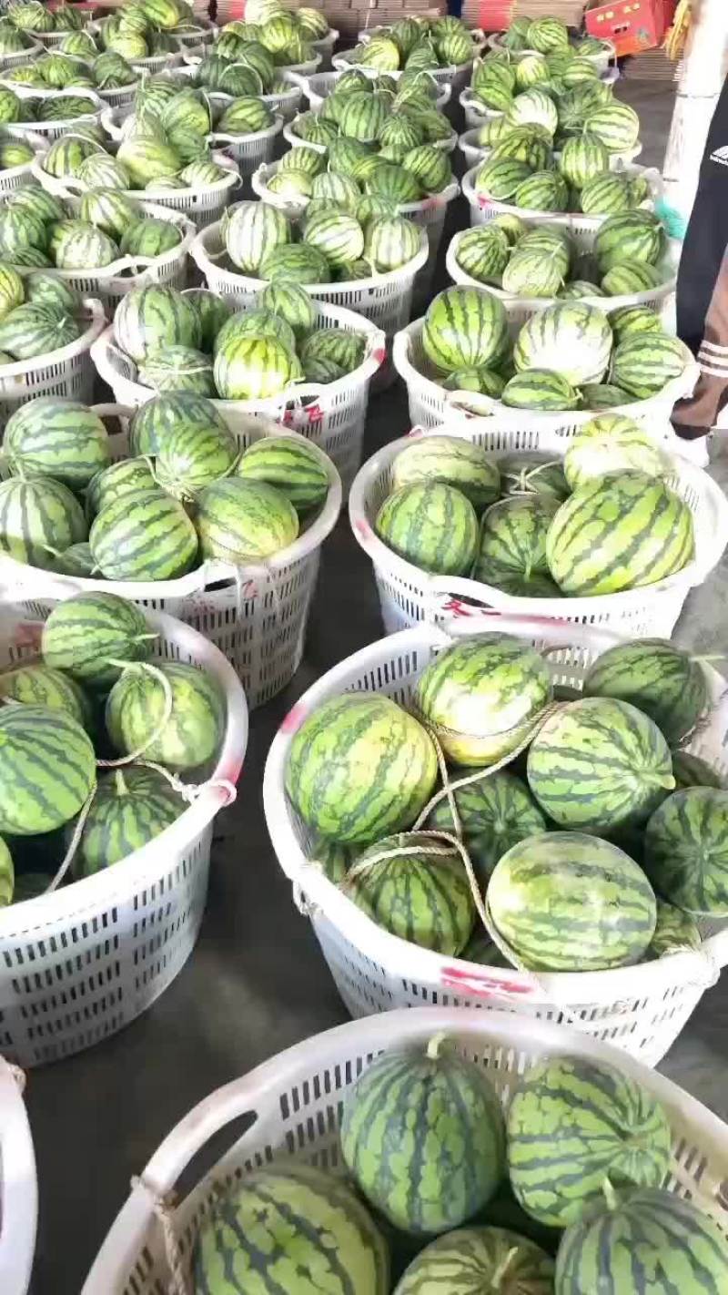 麒麟西瓜
