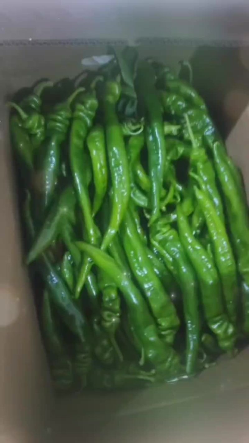 精品陇椒