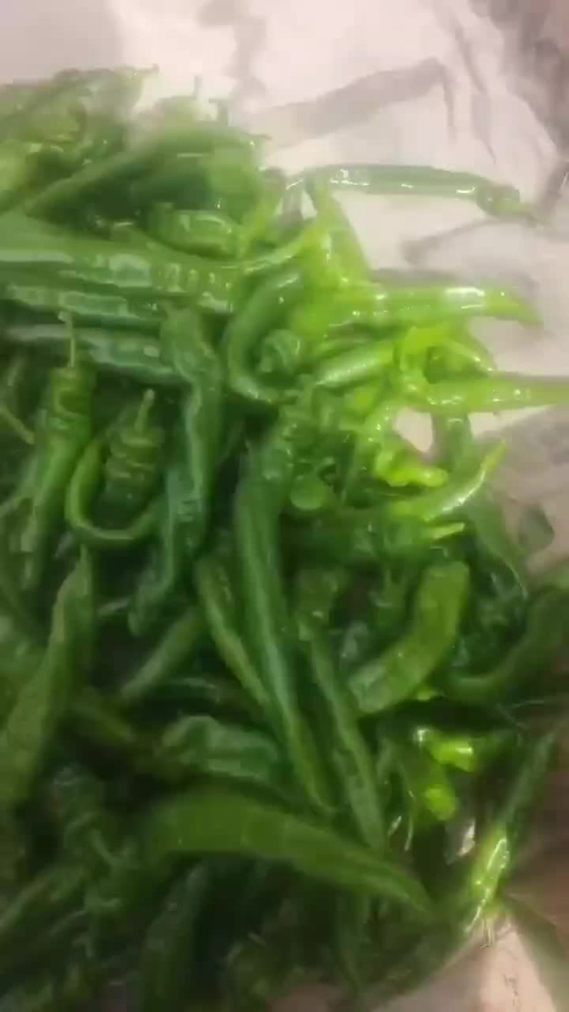 精品陇椒