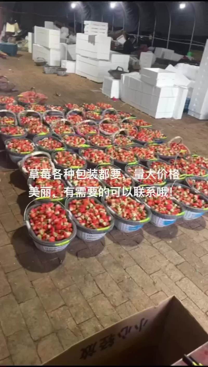 天仙醉，奶油草莓
