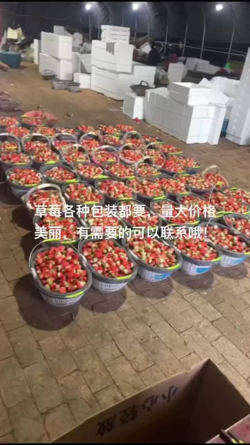 天仙醉，奶油草莓