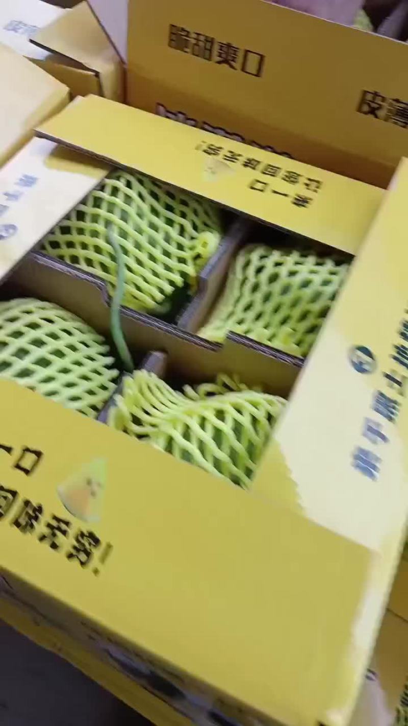 东北黑土地特小凤西瓜
