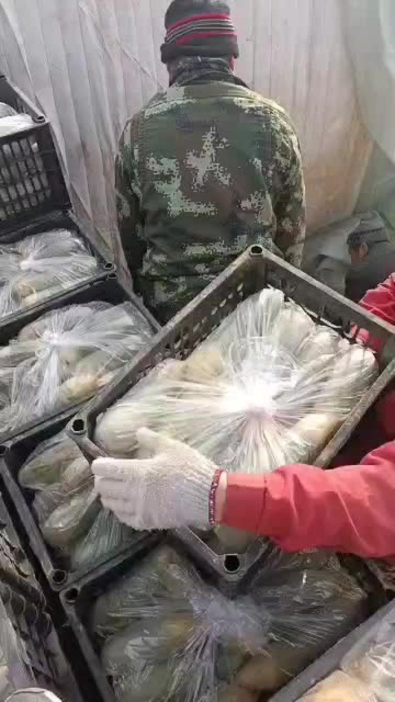 水果萝卜，质量很好价格便宜