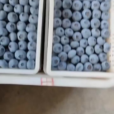精品L25H5F6量大从优
