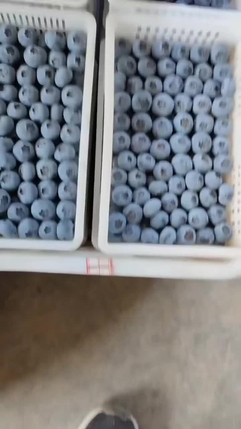 精品L25H5F6量大从优