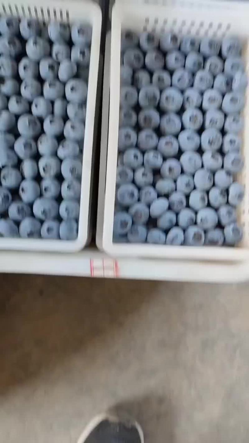 精品L25H5F6量大从优