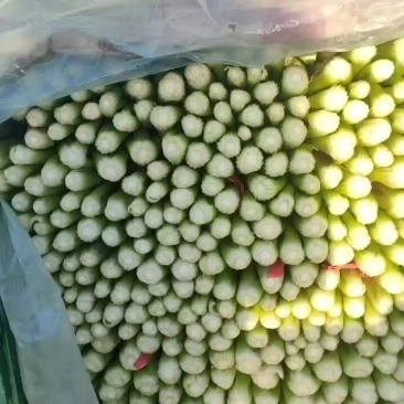 芹菜，支持清地，塞包，打捆