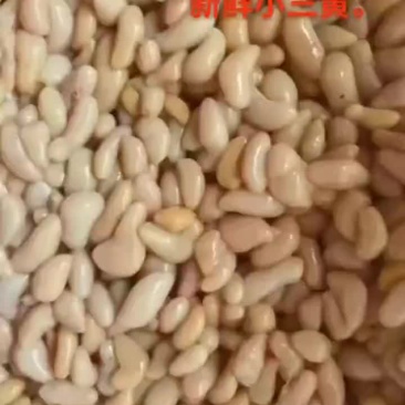 鸡腰子。