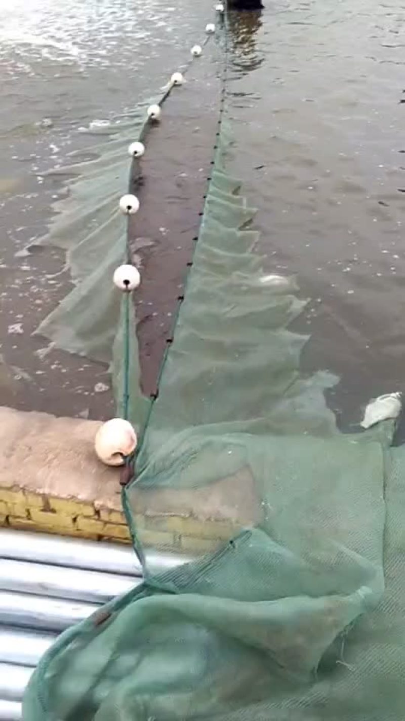 黄河水产