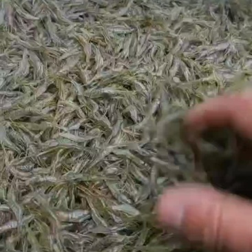 河虾
