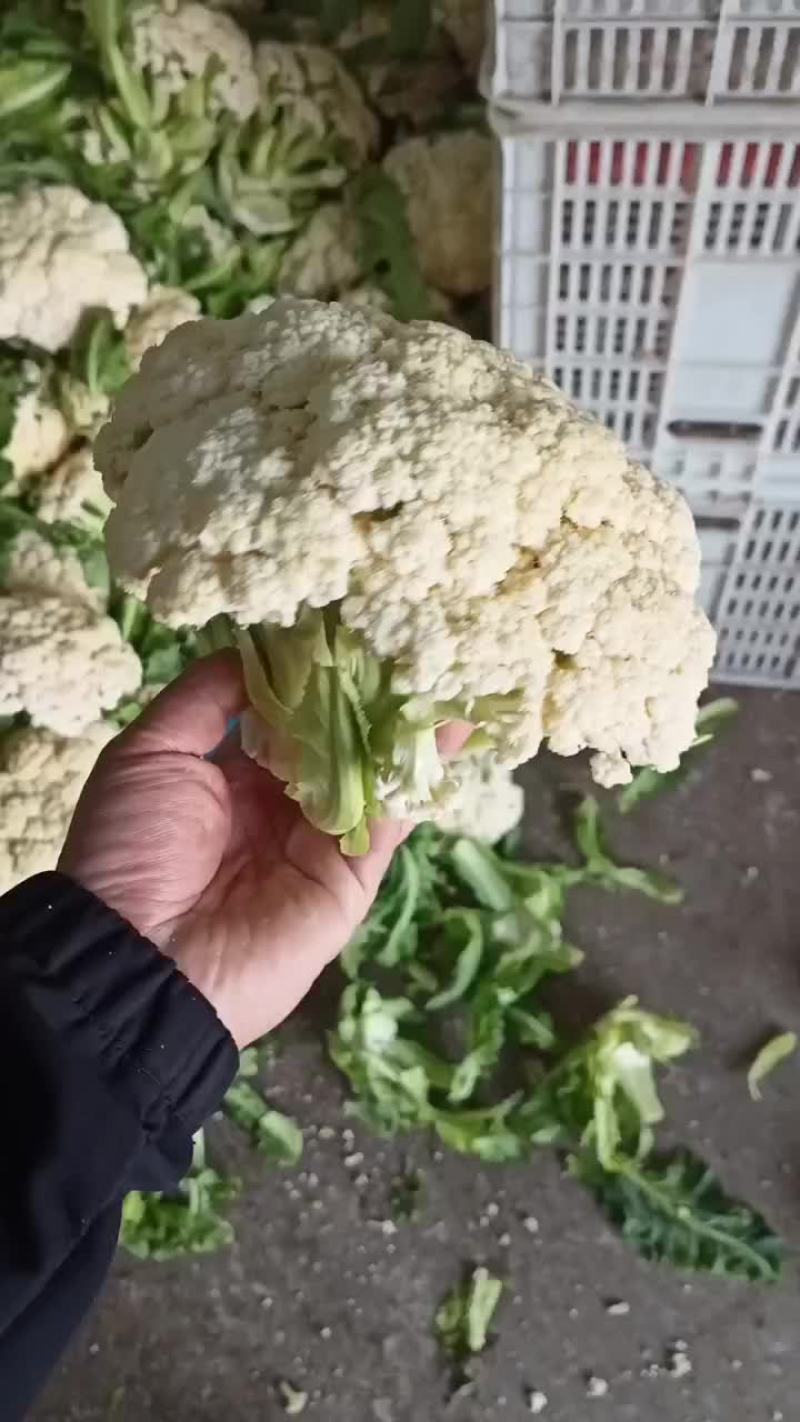 花菜，菜花