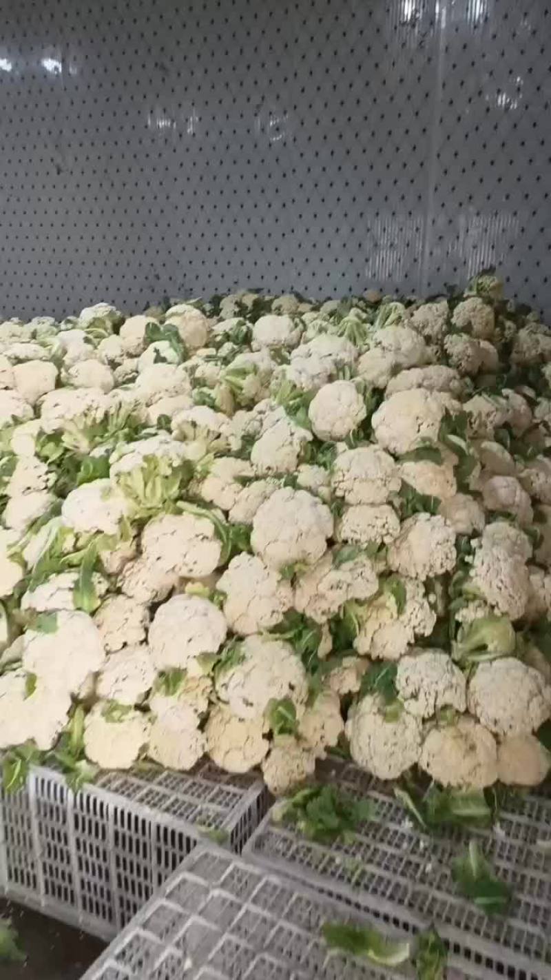 花菜，菜花
