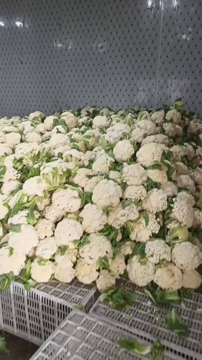 花菜，菜花
