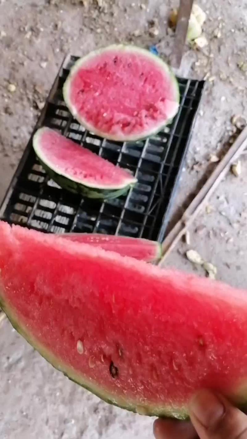 甜王西双版纳