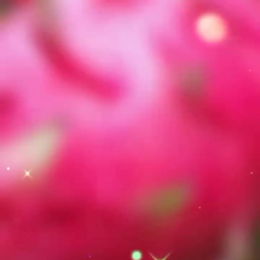 火龙果