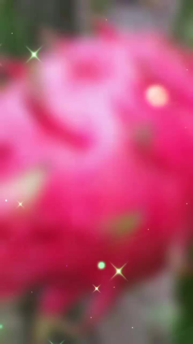 火龙果