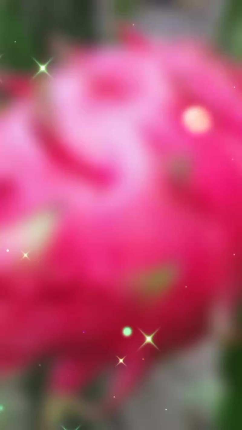 火龙果